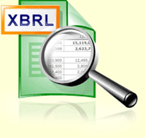 xbrl-providers